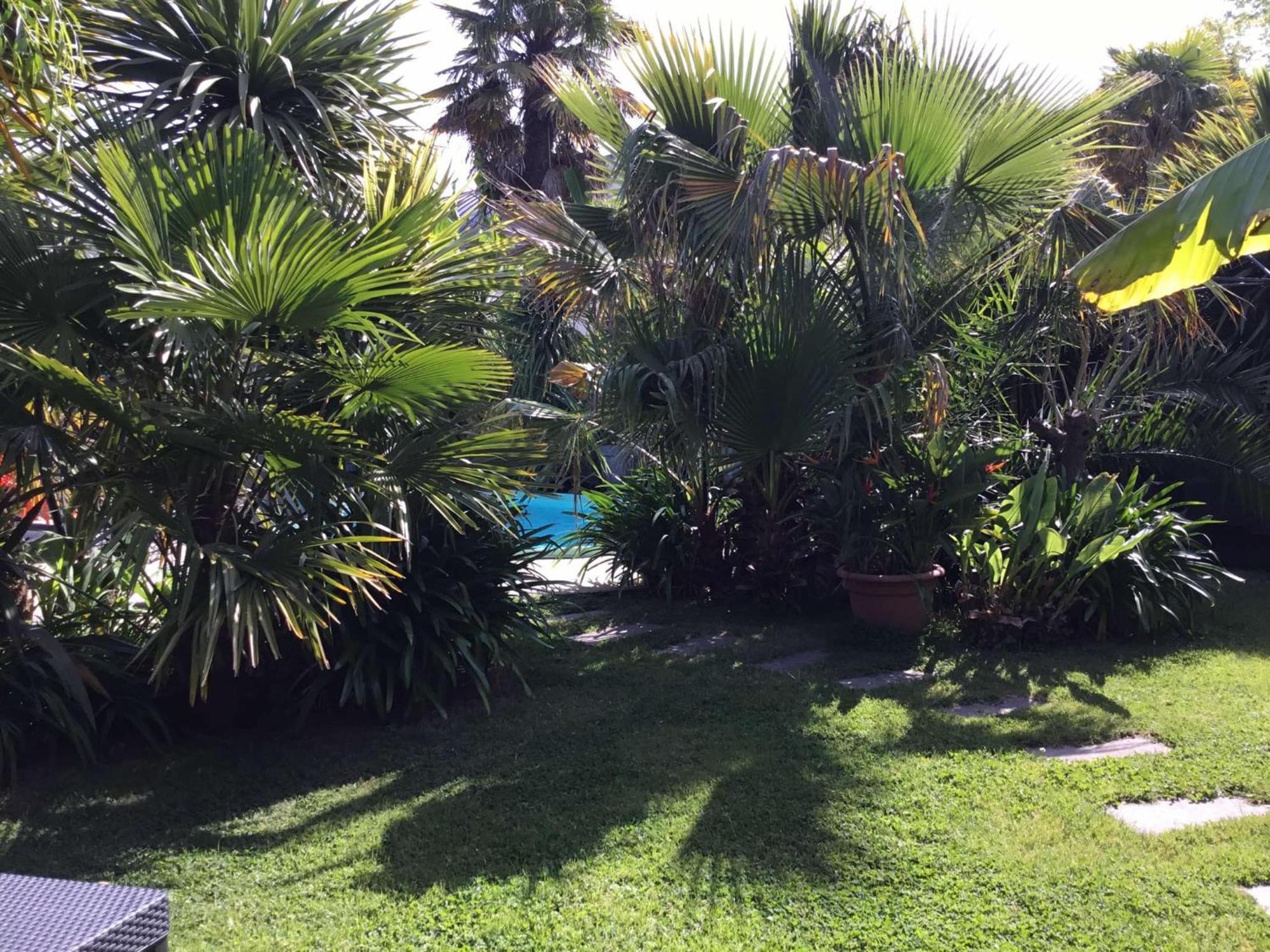 La Palmeraie Vannes Extérieur photo