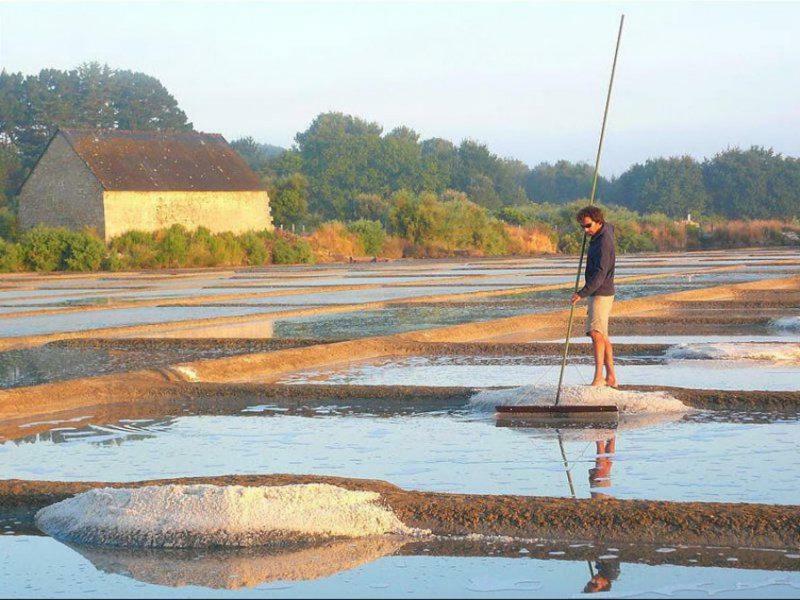 La Palmeraie Vannes Extérieur photo
