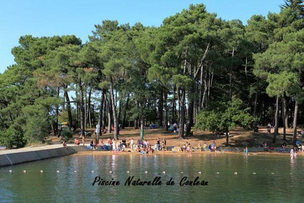 La Palmeraie Vannes Extérieur photo